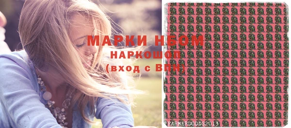шишки Алзамай