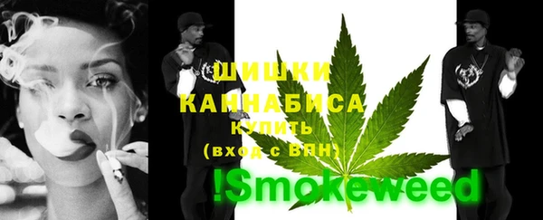 метадон Инта