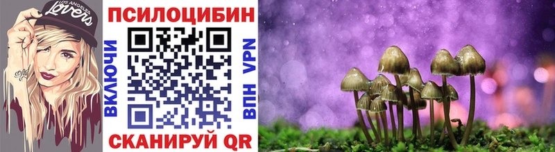 Псилоцибиновые грибы MAGIC MUSHROOMS наркота omg как зайти Батайск