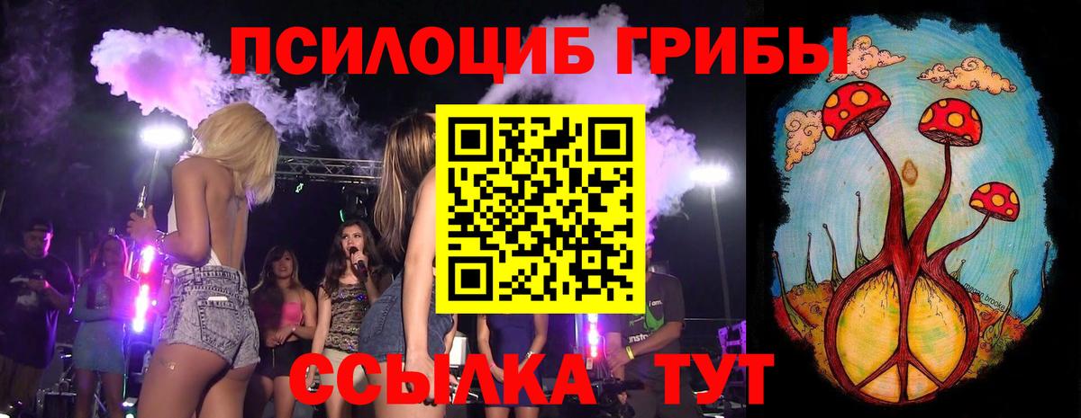 Галлюциногенные грибы мицелий  купить наркоту  Вход с VPN  Батайск  Псилоцибиновые грибы Cubensis 